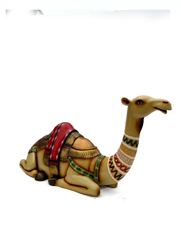 Camel Sitting