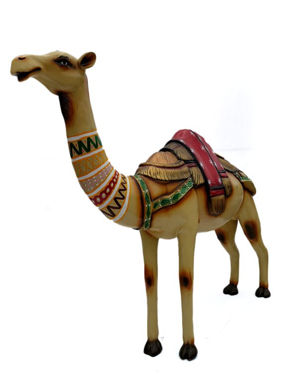 Camel Standing