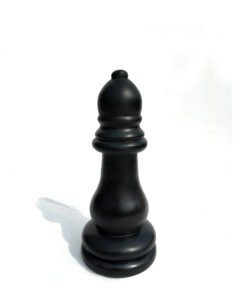 Chess Bishops