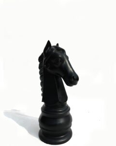 Chess Knight