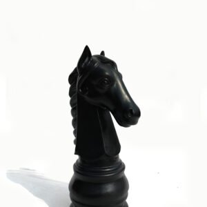 Chess Knight