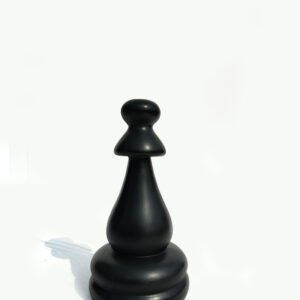 Chess Pawan