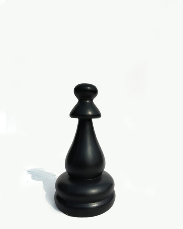 Chess Pawan