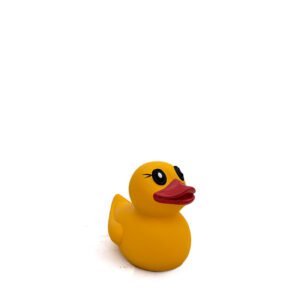 Duck Small