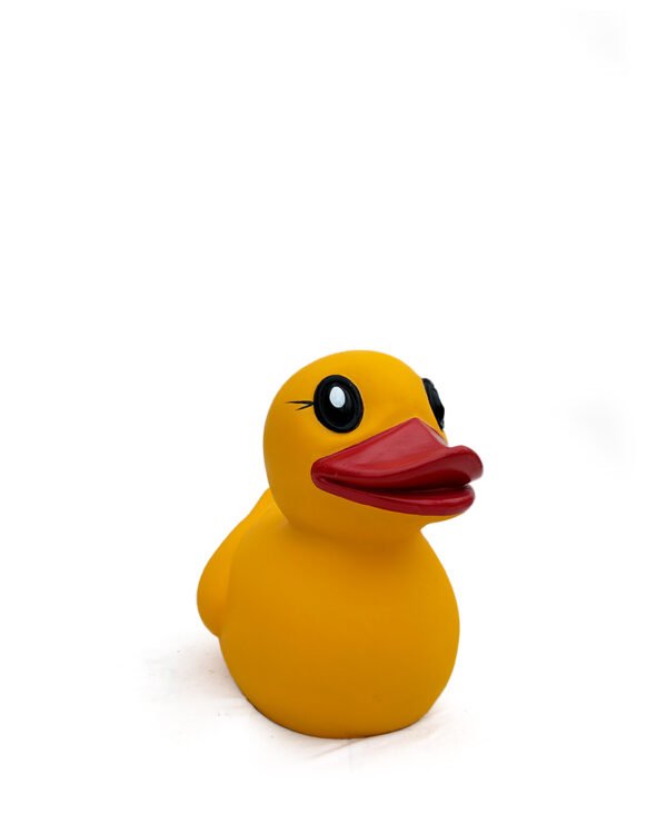 Duck Medium