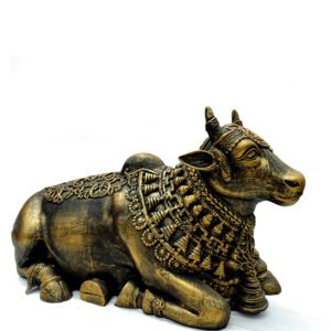 Nandi G